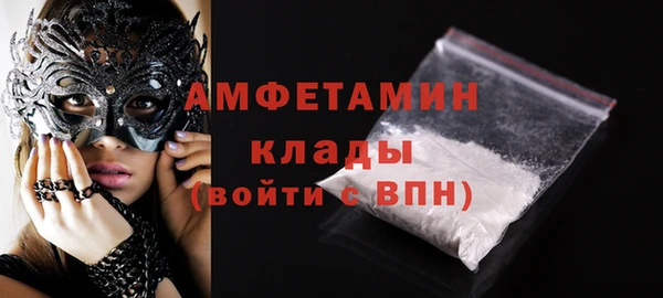 индика Бронницы