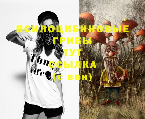 мескалин Богородицк