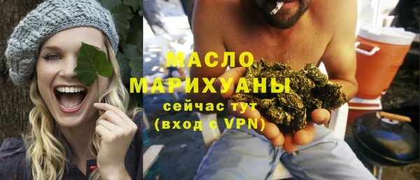 индика Бронницы