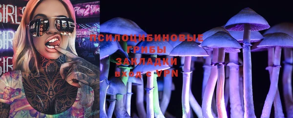 индика Бронницы