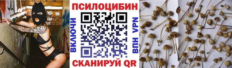 Галлюциногенные грибы ЛСД  Плёс 